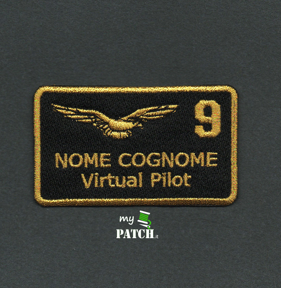 Pilota Aeronautica con ruolo e nome